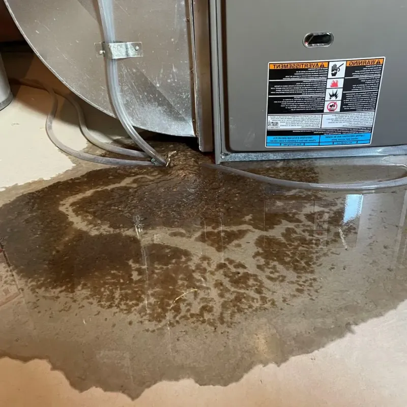 Pipe Burst and Leak Restoration in Bartlesville, OK